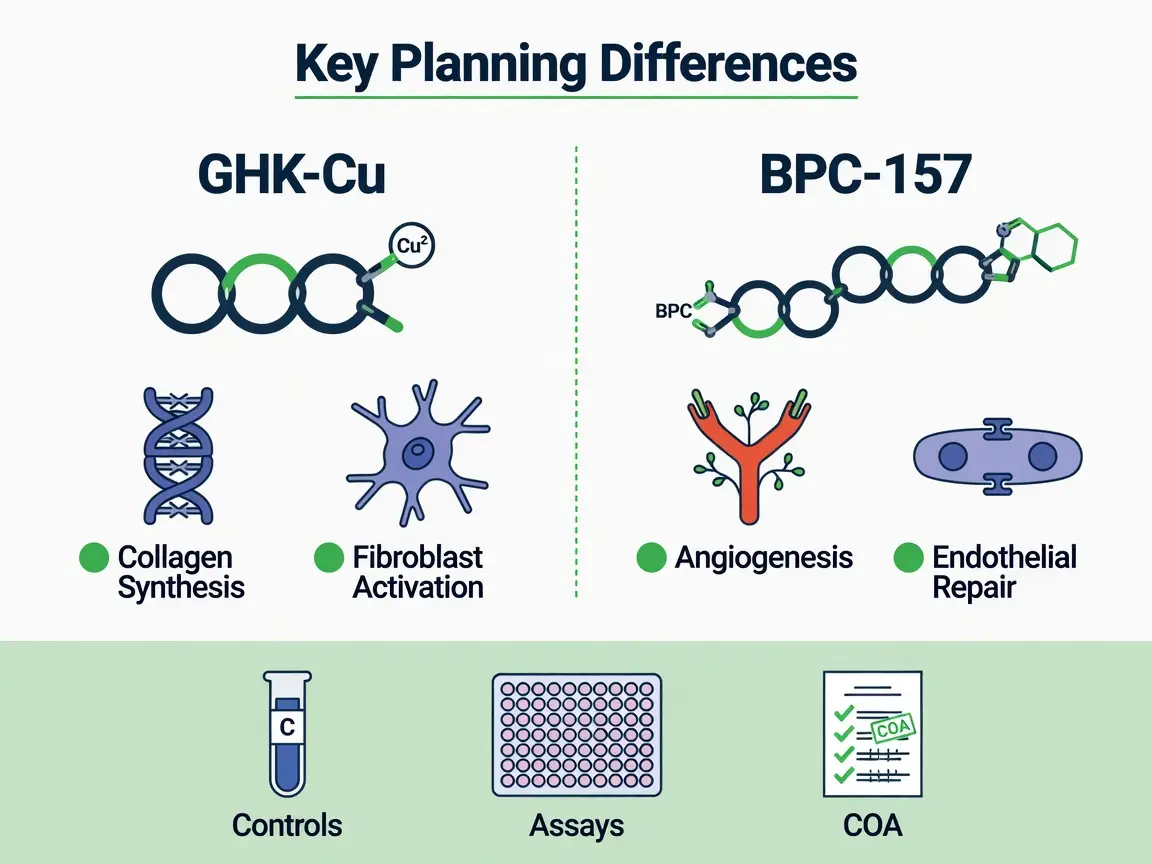 Infographic comparing ghk cu vs bpc 157 research planning differences with molecular icons and lab equipment.